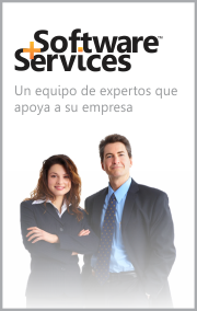 Software+Services